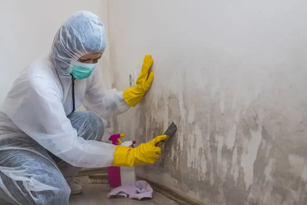 water damage restoration service Bal Harbor